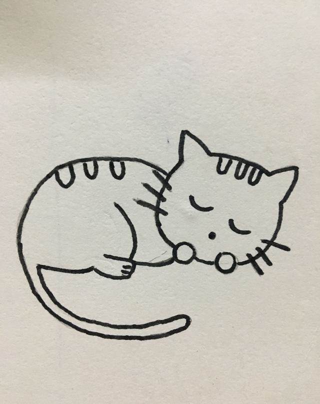 猫的简笔画可爱图片