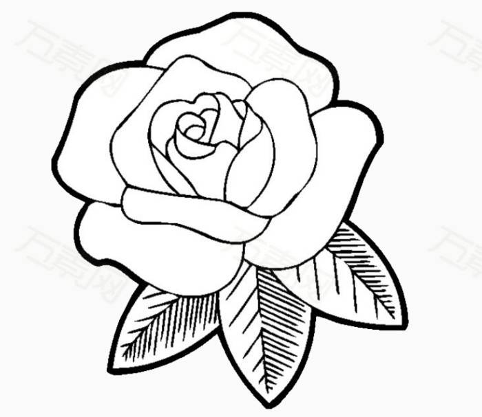 玫瑰花的简笔画法手绘图片