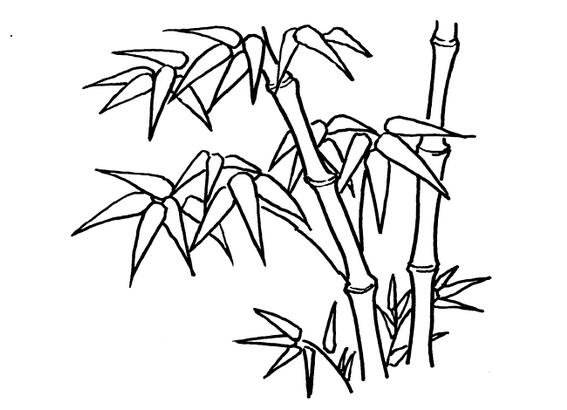 竹林的简笔画竹子图片