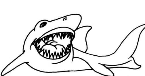 鲨鱼和向导鱼简笔画图片