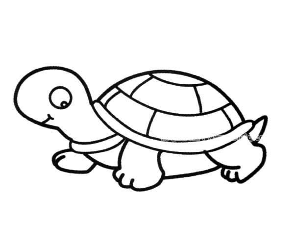 小乌龟简笔画头饰图片