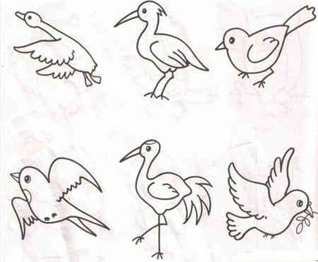 鸟禽类简笔画图片