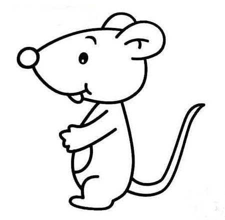 可爱的老鼠简笔画图片
