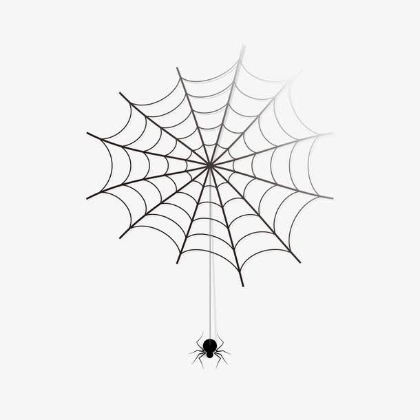 蜘蛛网的简笔画画法图片