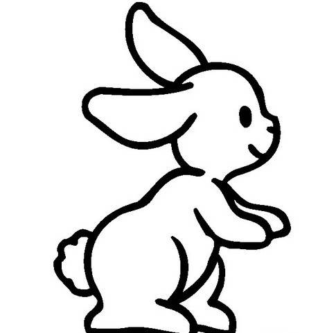 侧着的兔子简笔画图片