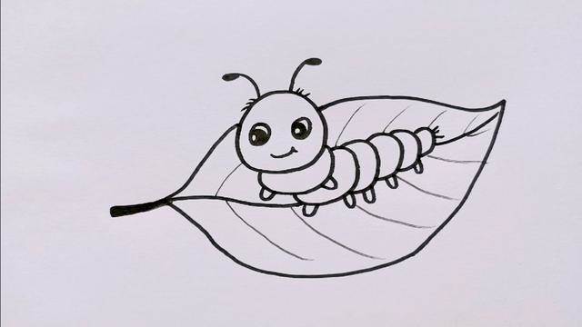 陆地上的昆虫简笔画图片
