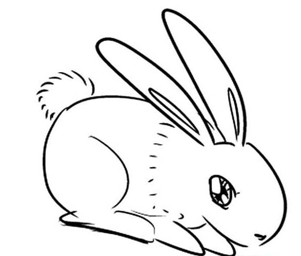 兔子简笔画简单呆萌图片