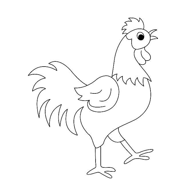 如何画大公鸡 简笔画图片