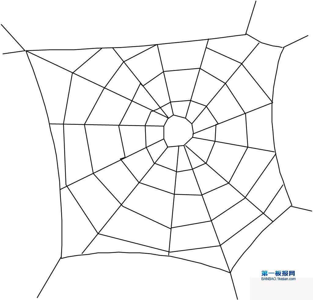 蜘蛛结网简笔画图片