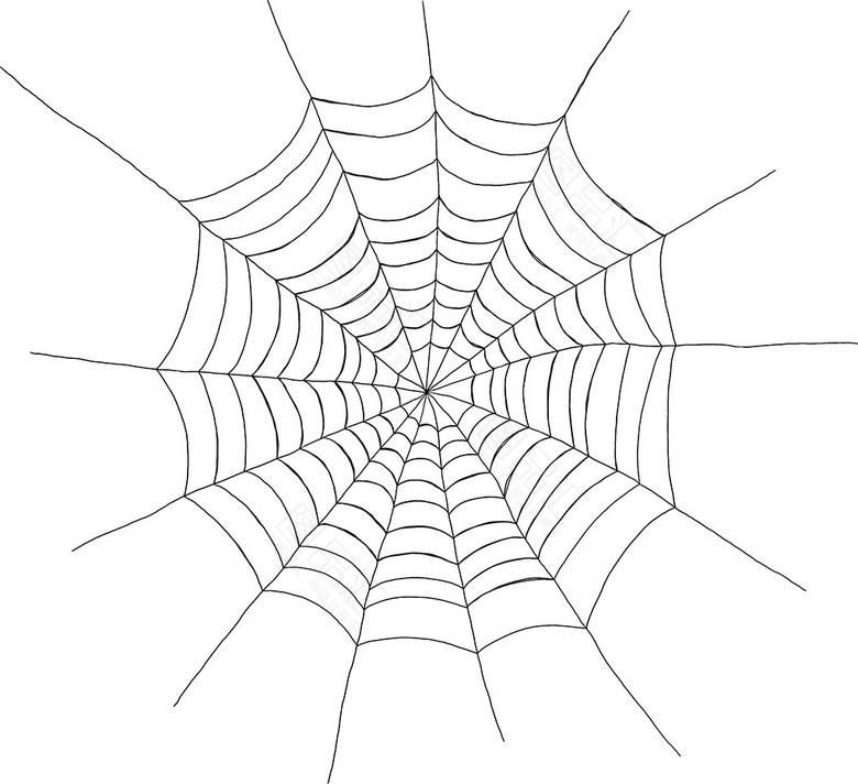 蜘蛛结网图片简笔画图片