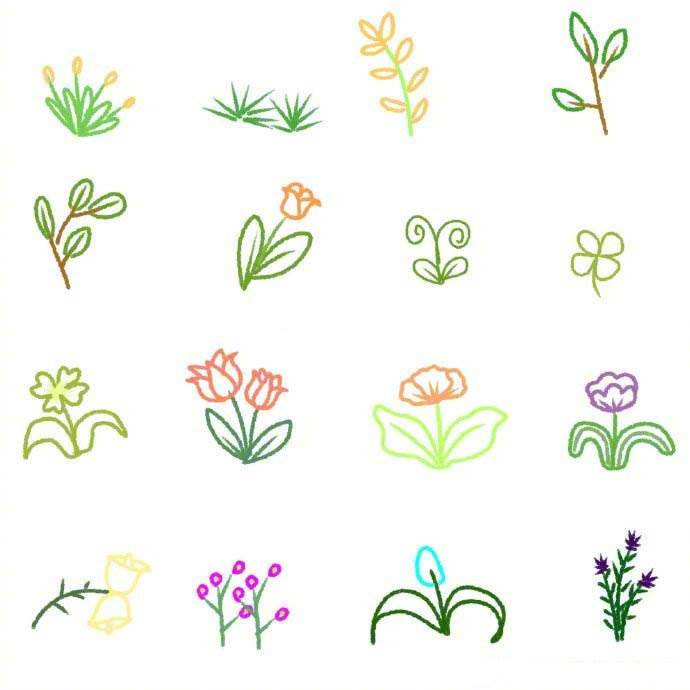植物简笔画花草简单图片