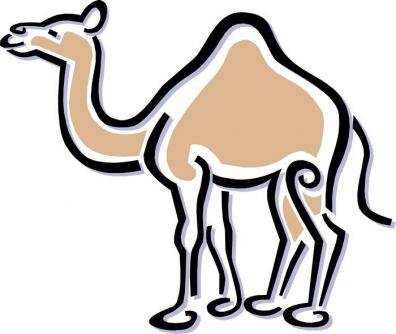 骆驼简笔画彩色图片