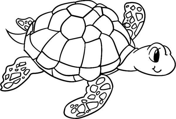 海龟简笔画 海龟简笔画可爱
