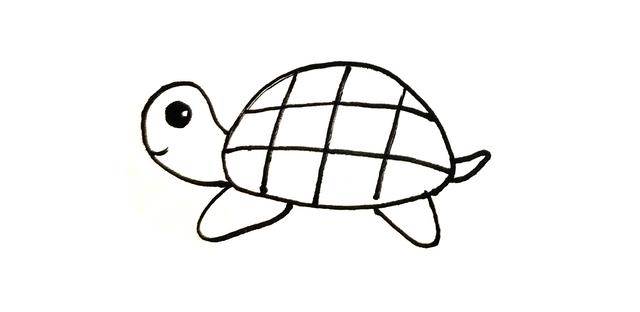 海龟简笔画在家里图片