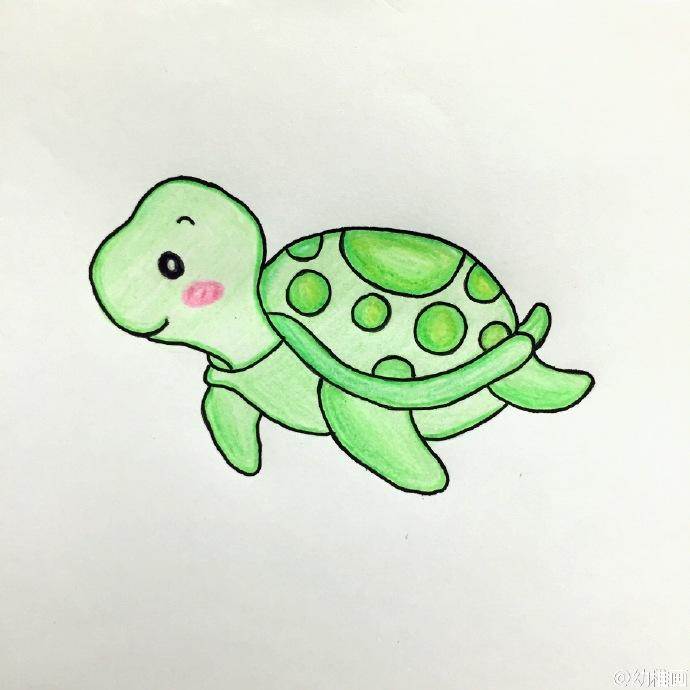 海龟简笔画彩色涂色图片