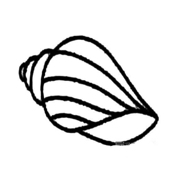 怎样画海螺简单图片