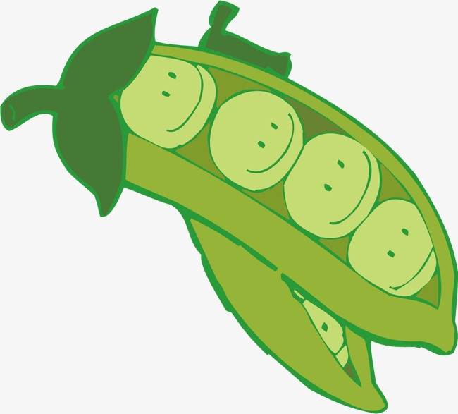绿豆的画法简笔画图片