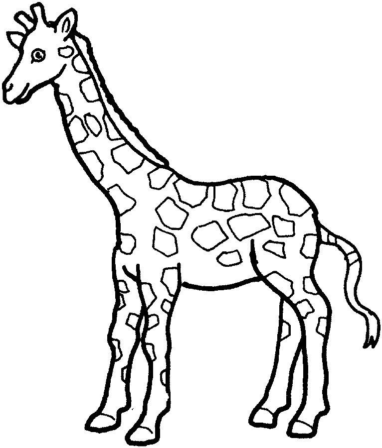 长颈鹿的腿简笔画图片
