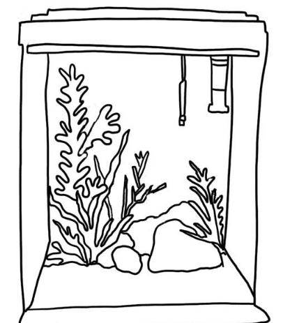 鱼缸简笔画可爱图片