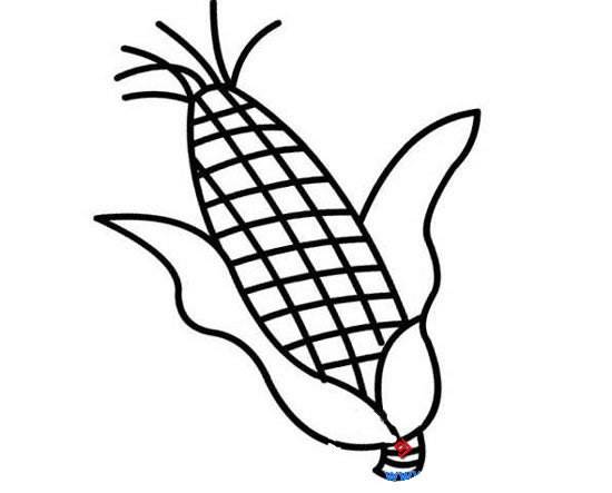 玉米的简笔画 玉米粒简笔画图片