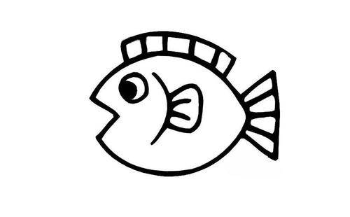 鱼的简笔画法图片