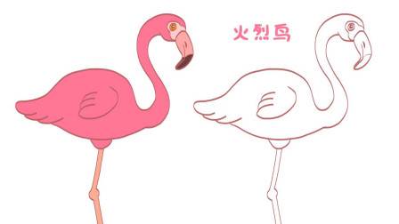 火烈鸟简笔画 粉色图片