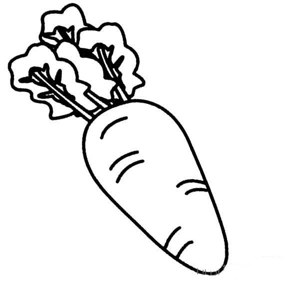 萝卜种子简笔画图片图片