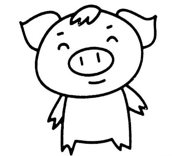 可爱小猪头像简笔画图片