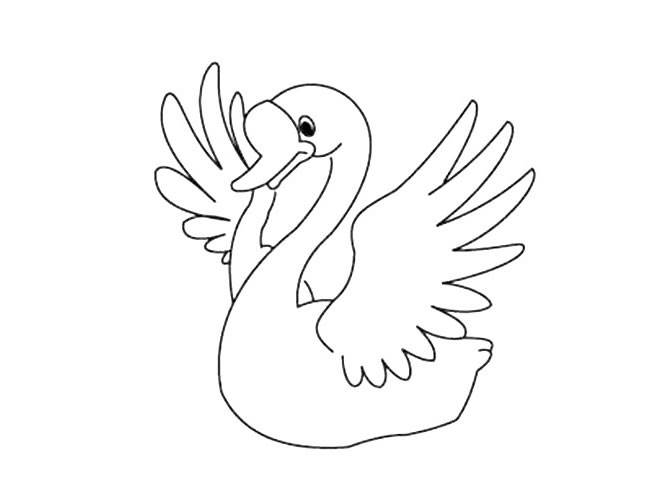 飞的天鹅怎么画简笔画图片