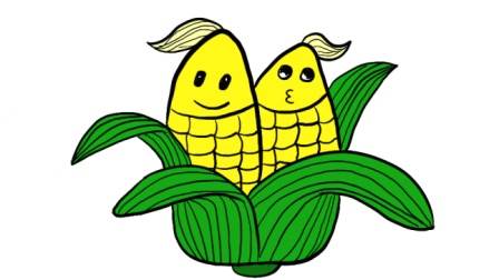 玉米的简笔画 玉米粒简笔画图片