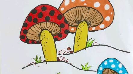 蘑菇图片大全彩色画图片
