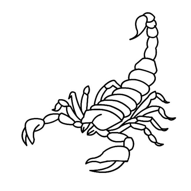 蝎子的简笔画恐怖图片