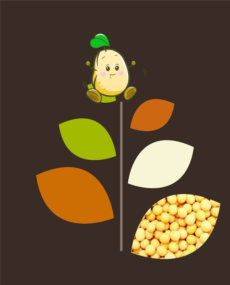 黄豆成长简笔画豆子图片
