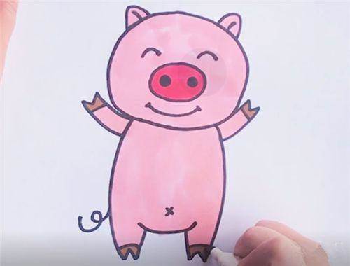 夏洛的网简笔画小猪图片
