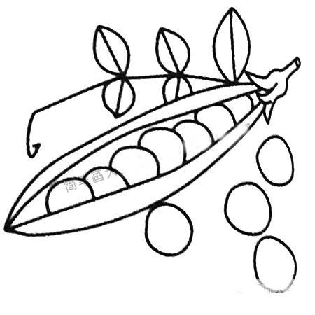 五头豌豆简笔画图片