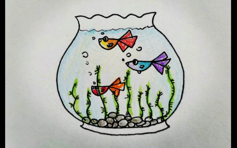 鱼缸图片简笔画儿童图片