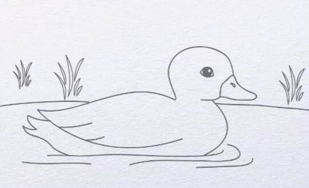 鸭子的背影简笔画图片