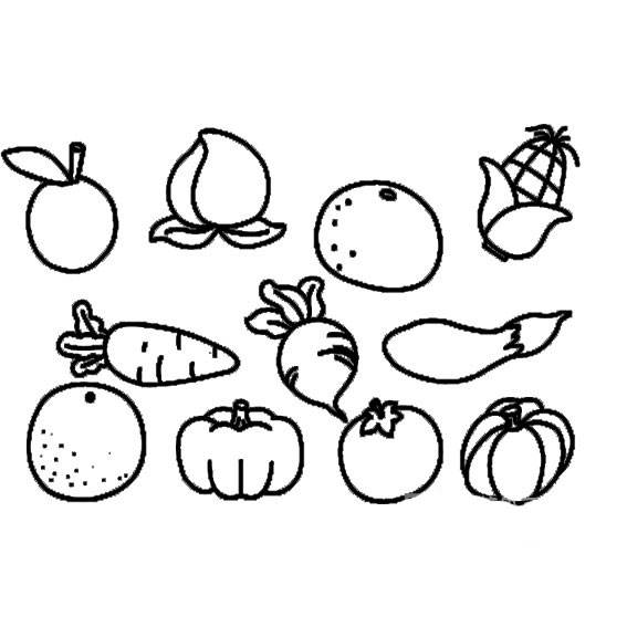 秋天水果蔬菜简笔画图片