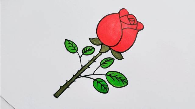 玫瑰花铅笔简笔画图片