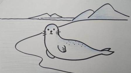 环斑海豹简笔画图片