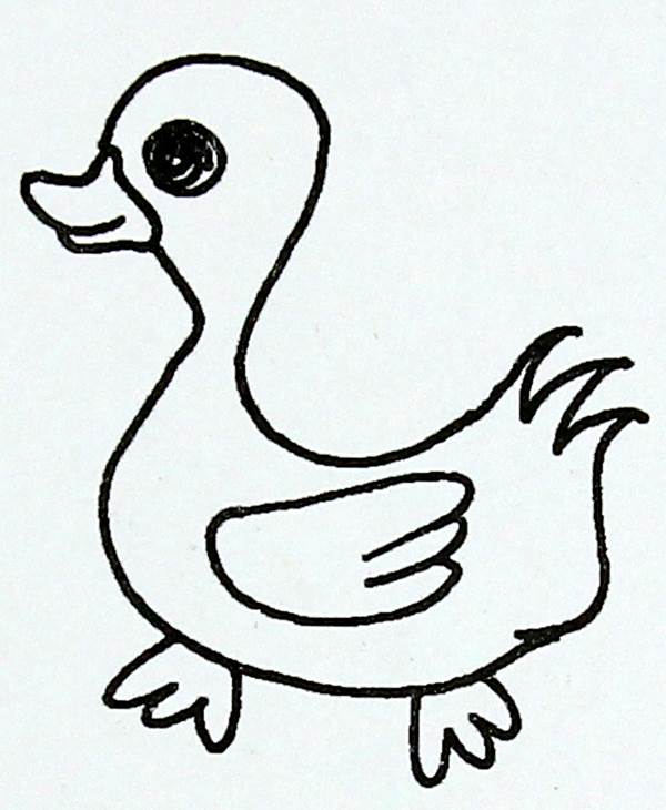 骄傲的鸭子简笔画图片