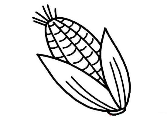 玉米串图片简笔画图片