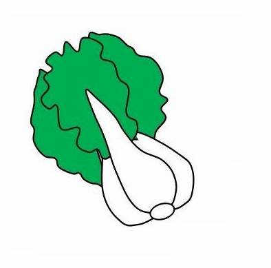 幼儿蔬菜简笔画白菜的简单画法这是一组大白菜 简笔画的内容,希望能