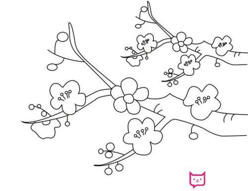 梅花树绘画 简笔画图片