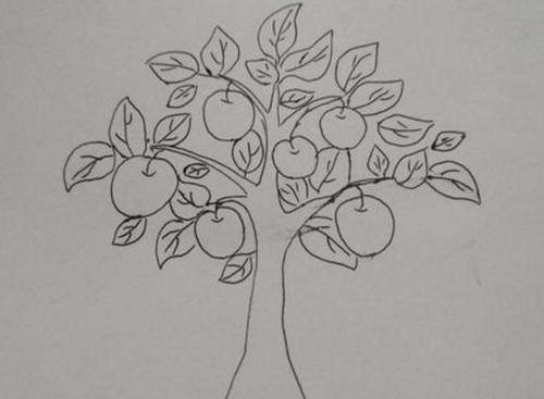 秋天的果树儿童简笔画各种各样的果树简笔画果园里的果树植物简笔画