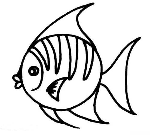海洋鱼类简笔画图片