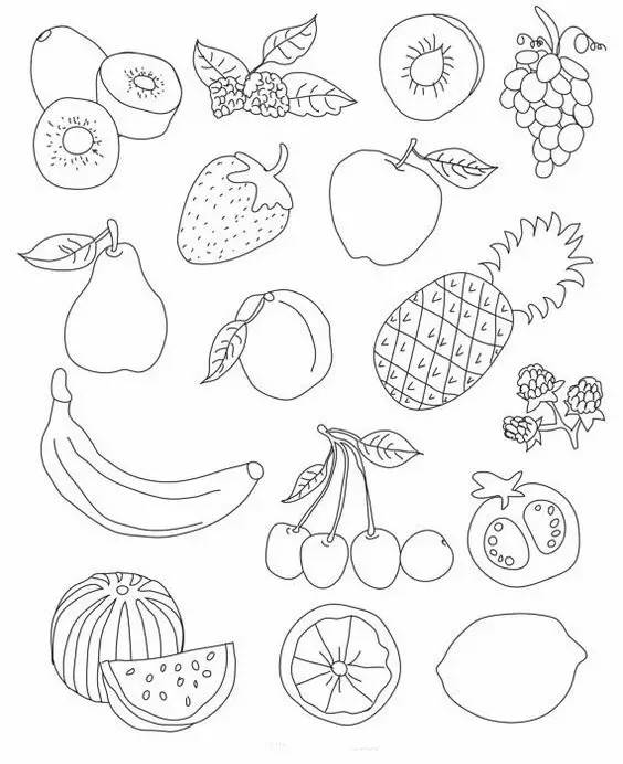 夏天的水果简笔画图片