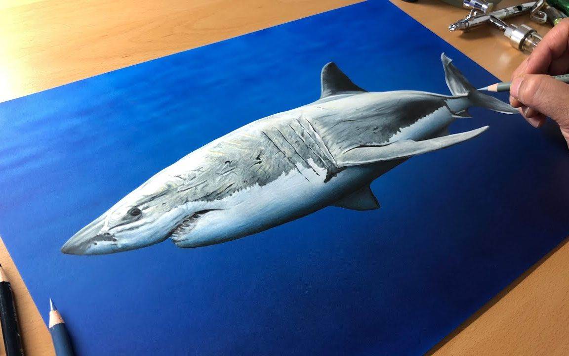 大白鲨简笔画一只图片