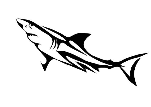 白鲨的简笔画图片