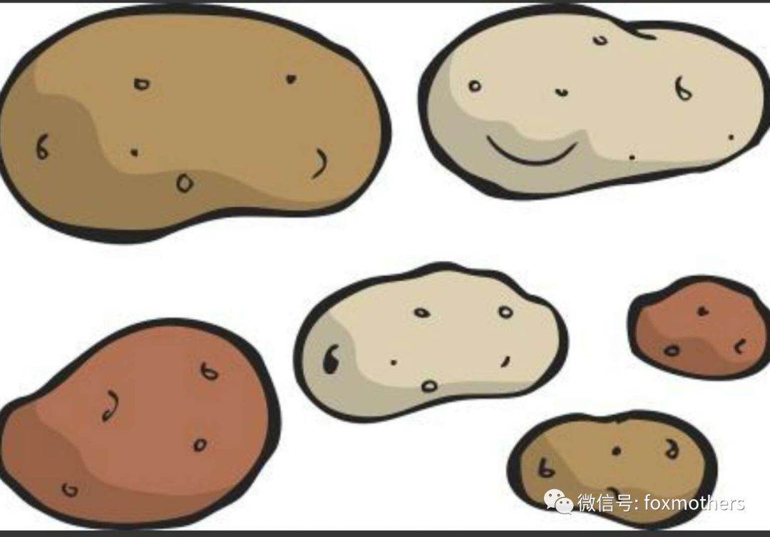 土豆在土里的简笔画图片